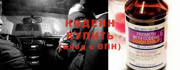 индика Бердск