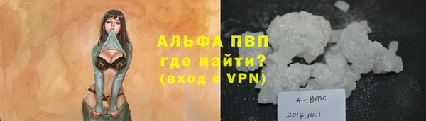 индика Бердск