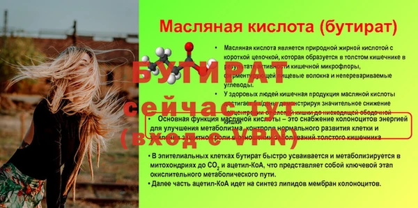 индика Бердск