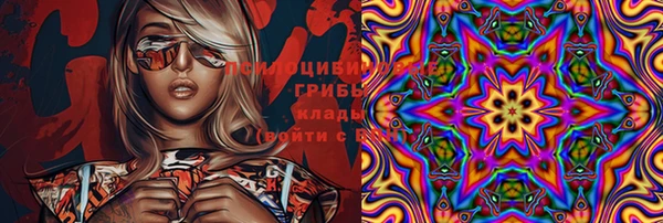 стаф Куйбышев