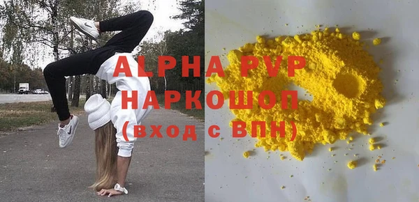 индика Бердск
