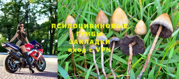 стаф Куйбышев