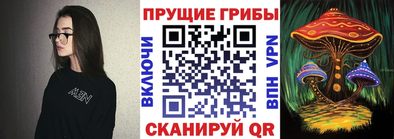Псилоцибиновые грибы GOLDEN TEACHER  Купить  Козьмодемьянск 